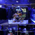 2022 New Product Stylish Coral LED Aquarium Light